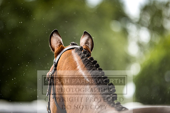 Goffs Land Rover Sale 2022-575