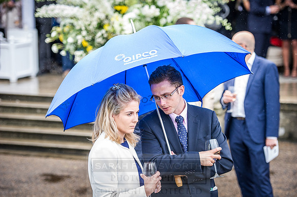 Goffs London Sale 2016-316