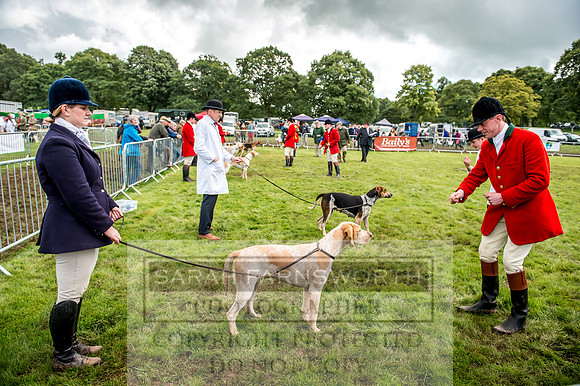 Lowther Hound Show 2017-95