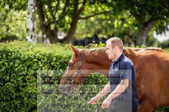 Goffs Land Rover Sale 2022-597