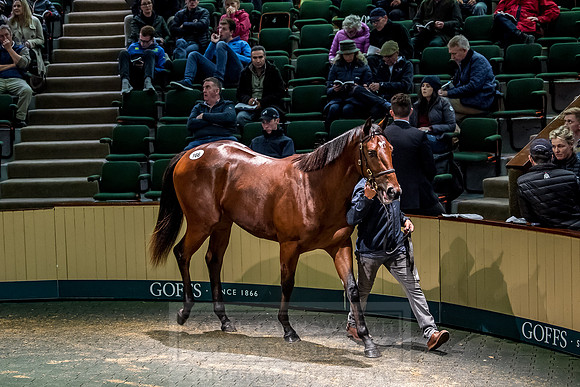 Goffs Orby 2018 Day 1-412
