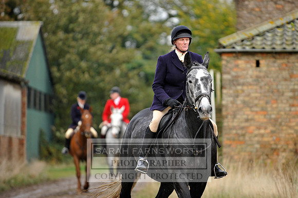 Brocklesby 021113 CF3 941