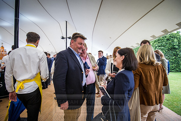 Goffs London Sale 2016-424