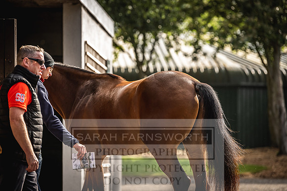 Goffs Land Rover Sale 2022-90