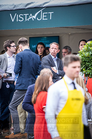 Goffs London Sale 2016-391