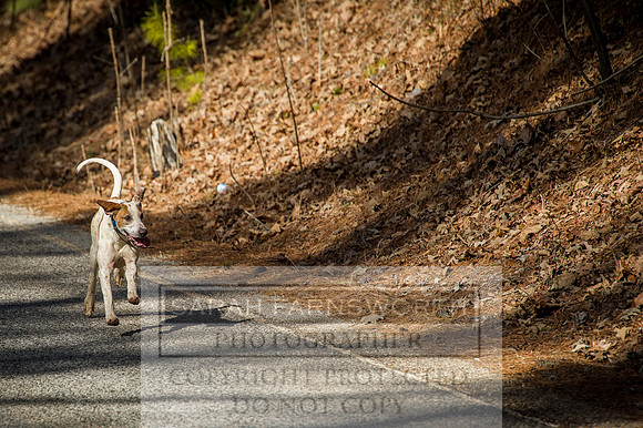 Mooreland Hunt-35
