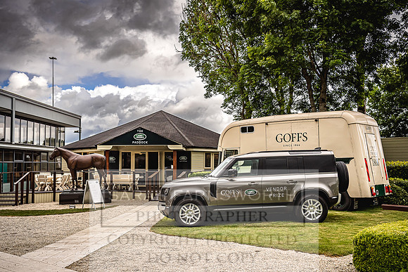 Goffs Land Rover Sale 2022-571