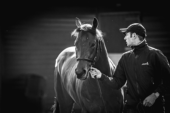 Goffs UK Breeze Up 2022-88