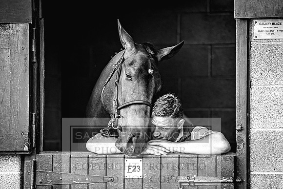 Goffs Land Rover Sale 2022-339