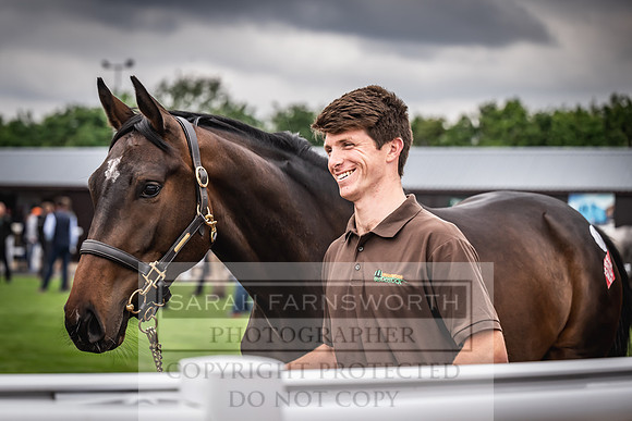 Goffs UK Spring Sale 2024-126