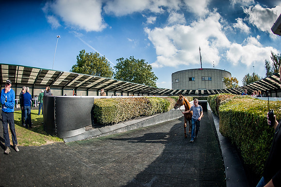 Goffs Orby 2015 -602