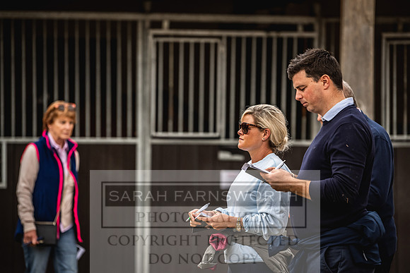 Goffs Yorton Sale 2022-136