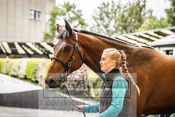 Goffs Land Rover Sale 2022-578