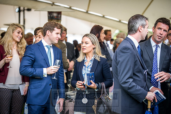 Goffs London Sale 2016-280
