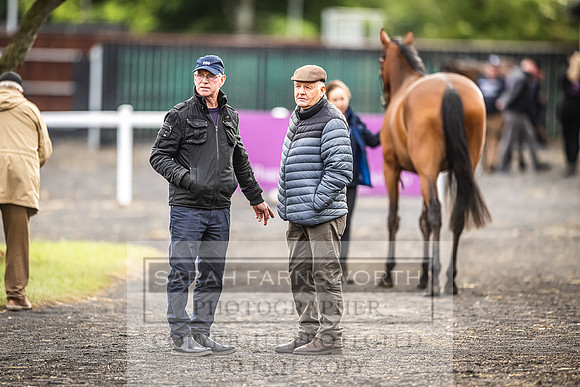 Goffs Land Rover Sale 2022-511