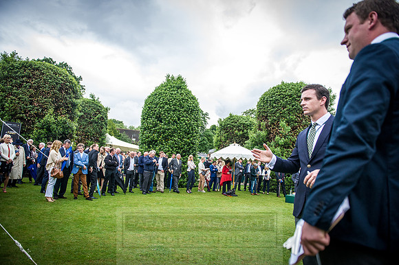 Goffs London Sale 2016-275