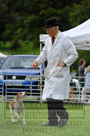 Rydal 2014 CF2 876