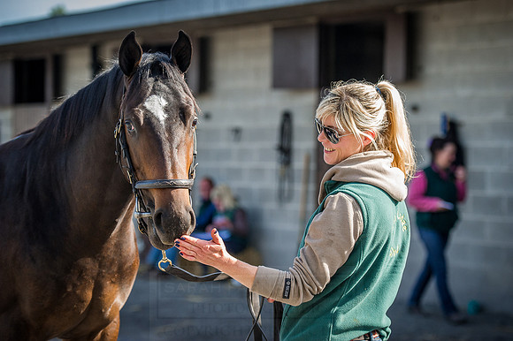 Goffs Orby 2015 -309