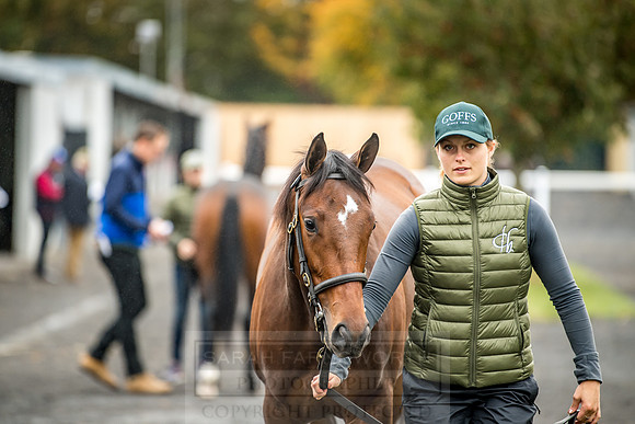 Goffs Orby 2018 Day 2-46