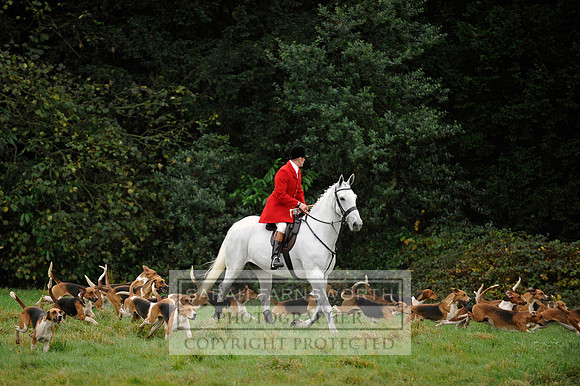 Brocklesby 021113 CF3 177