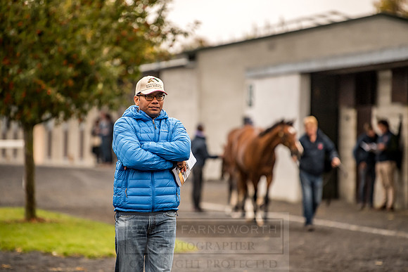 Goffs Orby 2018 Day 1-27