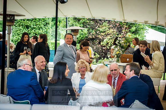 Goffs London Sale 2016-158