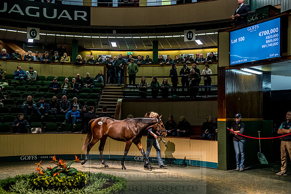 Goffs Orby 2018 Day 1-299