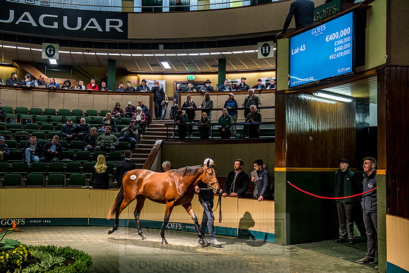 Goffs Orby 2018 Day 1-241