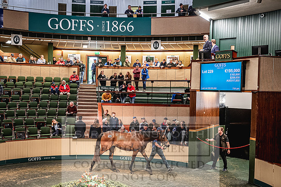 Goffs Land Rover Sale 2022-457