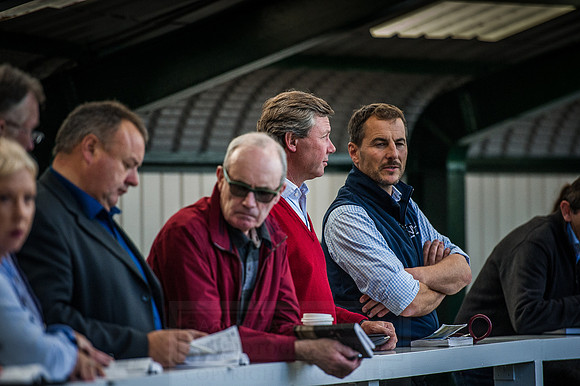 Goffs Orby 2015 -589