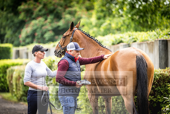 Goffs Land Rover Sale 2022-45
