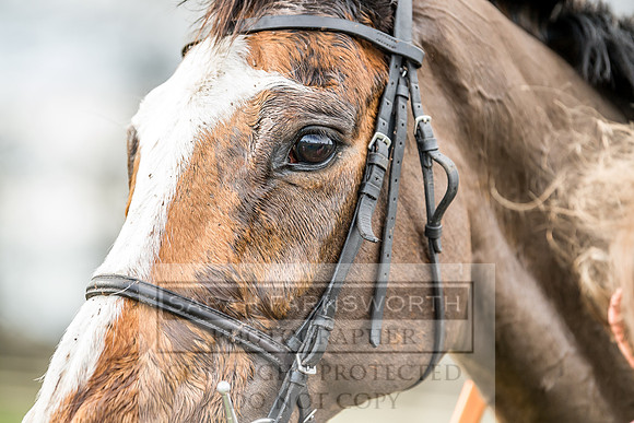 Wynnstay Hunt Ride 2019-133