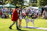Rydal Hound Show 2022-11