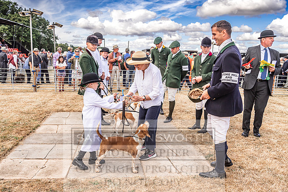 Honiton Hound Show 2022-56