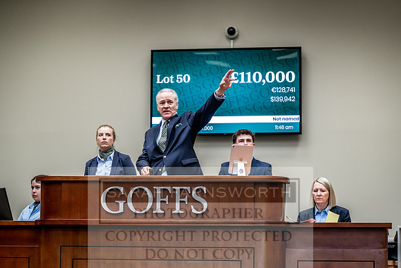 Goffs UK Spring Sale 2024-119