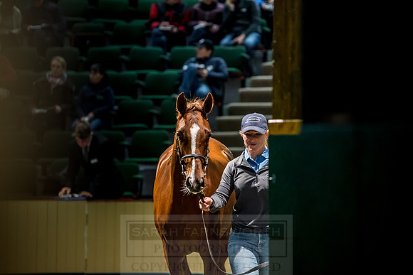 Goffs Orby 2018 Day 1-199