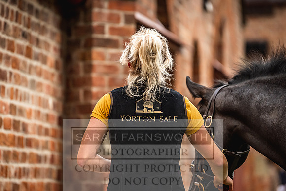 Goffs Yorton Sale 2022-56