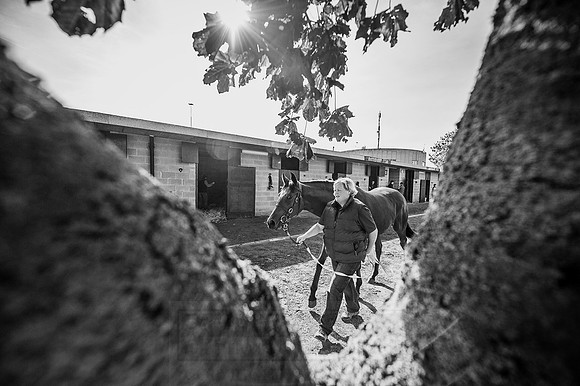 Goffs Orby 2015 -289 bw