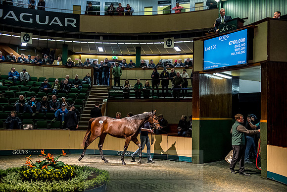 Goffs Orby 2018 Day 1-301