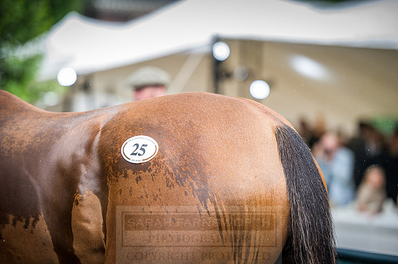 Goffs London Sale 2016-338