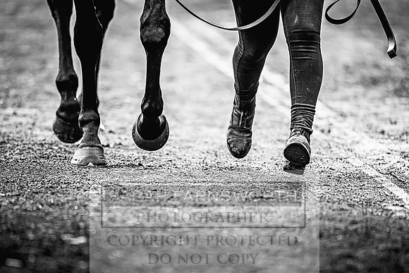 Goffs Land Rover Sale 2022-516