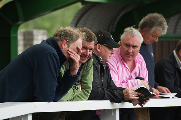Goffs Orby14 CF7 014