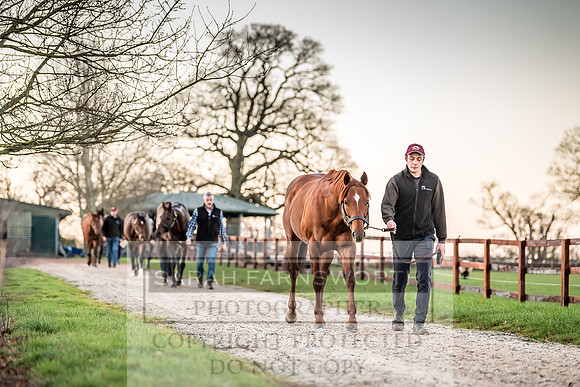 Tweenhills January 2019-32