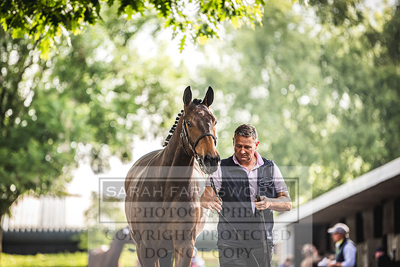 Goffs Land Rover Sale 2022-100