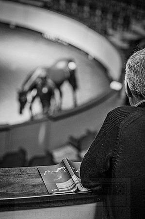 Goffs Orby 2015 -616 bw
