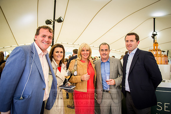 Goffs London Sale 2016-234