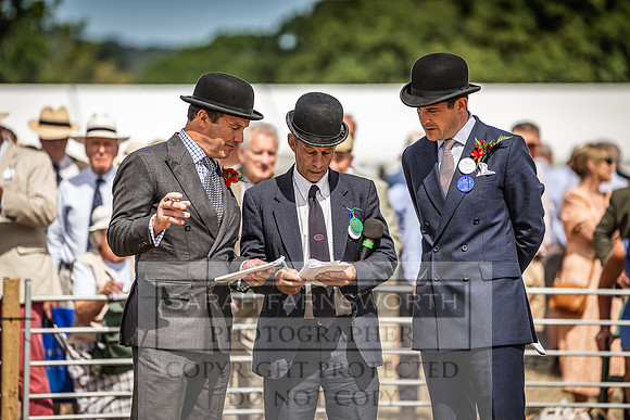 Honiton Hound Show 2022-129