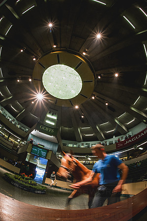 Goffs Orby 2015 -549