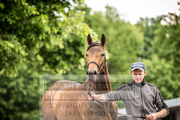 Goffs Land Rover Sale 2022-396