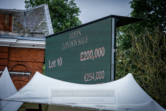 Goffs London Sale 2016-291